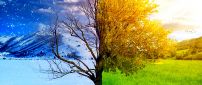 Winter and spring - two beautiful seasons