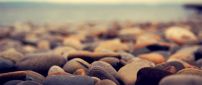 Beautiful rocks from the beach - Macro HD wallpaper
