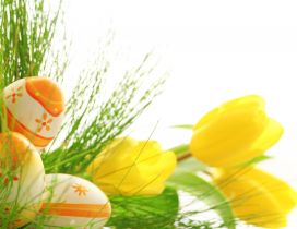 Yellow tulips and beautiful coloured egg - Happy Easter