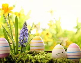 Easter eggs hiding in the garden