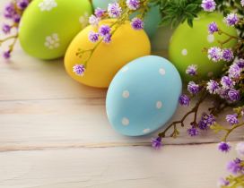 Beautiful coloured Easter eggs and spring flowers