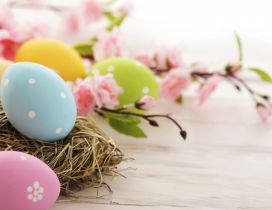 Special spring moments - Easter Holiday