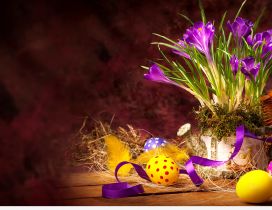 Beautiful crocuses flowers - Happy Easter Holiday