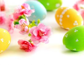 Spring flowers and Easter eggs - Happy Holiday