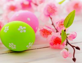 Blossom tree branch and colourful Easter eggs - HD wallpaper