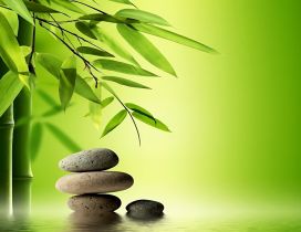 Bamboo tree and special rocks for massage - relaxing time