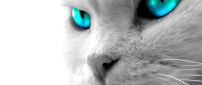Beautiful cat with blue digital eye - HD wallpaper
