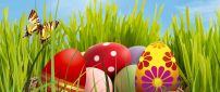 Colourful Easter Eggs in the grass - HD wallpaper