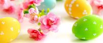 Spring flowers and Easter eggs - Happy Holiday