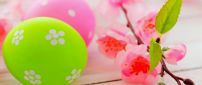 Blossom tree branch and colourful Easter eggs - HD wallpaper
