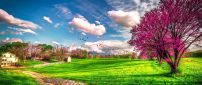 Landscape beautiful spring nature - HD wallpaper