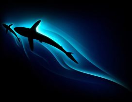 Mother and son - beautiful shark in the dark water