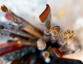 Make-up brushes - blurry HD wallpaper