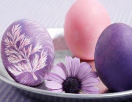Original painted eggs - color art
