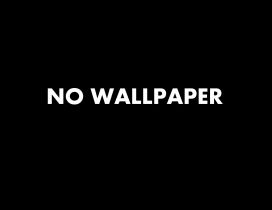 The most miscellaneous wallpaper - NO Wallpaper
