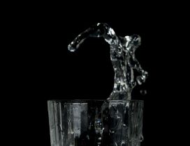 Splash in a glass of water - HD wallpaper