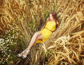 Relaxing time in the golden wheat field - HD wallpaper