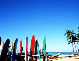 Colored surfboards at the beach - summer sport on the water
