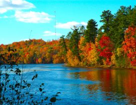 Autumn season is wonderful - amber trees and lake
