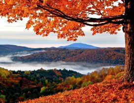 Wonderful nature landscape - Autumn season is the best