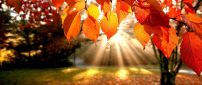 Autumn sunrise - wonderful season moments