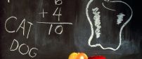 Apple and drawings on the blackboard - Back to school