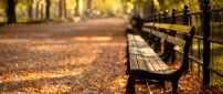 Relaxing time on a bench in the park - Autumn season