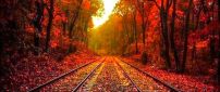 Autumn leaves on the rails - HD wonderful wallpaper