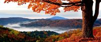 Wonderful nature landscape - Autumn season is the best