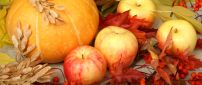 Delicious and sweet apples and pumpkins  - Autumn harvest