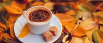 Delicious coffee with brown sugar - Autumn day