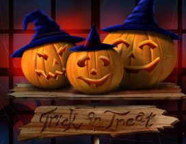 Trick or Treat - Funny pumpkins with hats on Halloween night