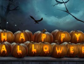 Happy Halloween write on pumpkins - HD wallpaper