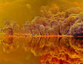 Amber Autumn nature - mirror in the lake at sunset