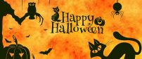 Dark cat and spiders - Happy Halloween night