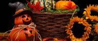 Funny Halloween pumpkins and sunflowers - HD wallpaper