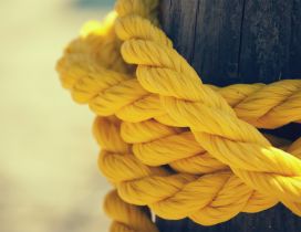 Macro yellow rope - HD wallpaper