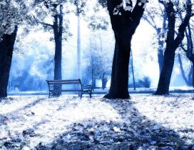 Sunny winter day in the park - White nature wallpaper