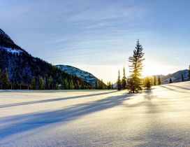 Golden winter sun and wonderful white mountain field