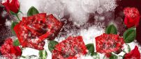 Wonderful red frozen roses - HD winter wallpaper