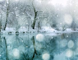 Mirror in the lake - Winter season
