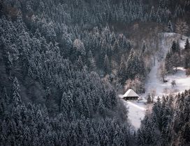 Small cottage in the middle of the forest - Winter season
