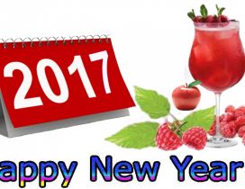Happy New Year 2017 with a glass of raspberry juice