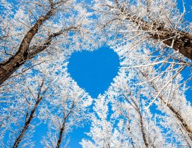 Blue heart on the sky - HD Winter wallpaper