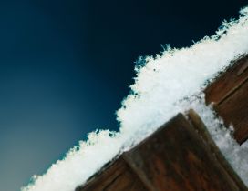 Macro ice on a piece of wood - Blue background