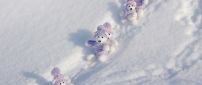 Sweet little fluffy bears at the sleighing - HD winter time