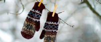 Gloves hanging in tree - Winter games