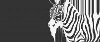 Wild zebra on the wall - Creative wallpaper