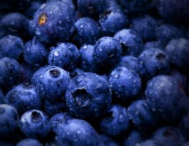 Big water drops on delicious blueberries - Macro wallpaper
