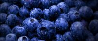 Big water drops on delicious blueberries - Macro wallpaper